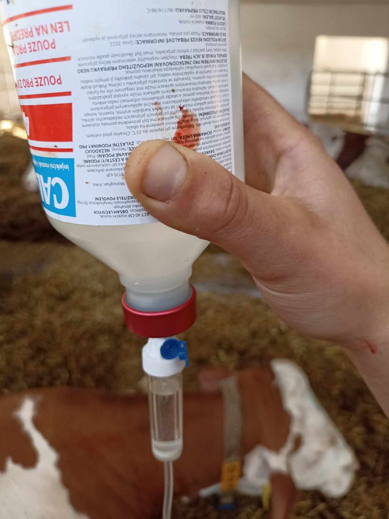 Diagnostika a terapie