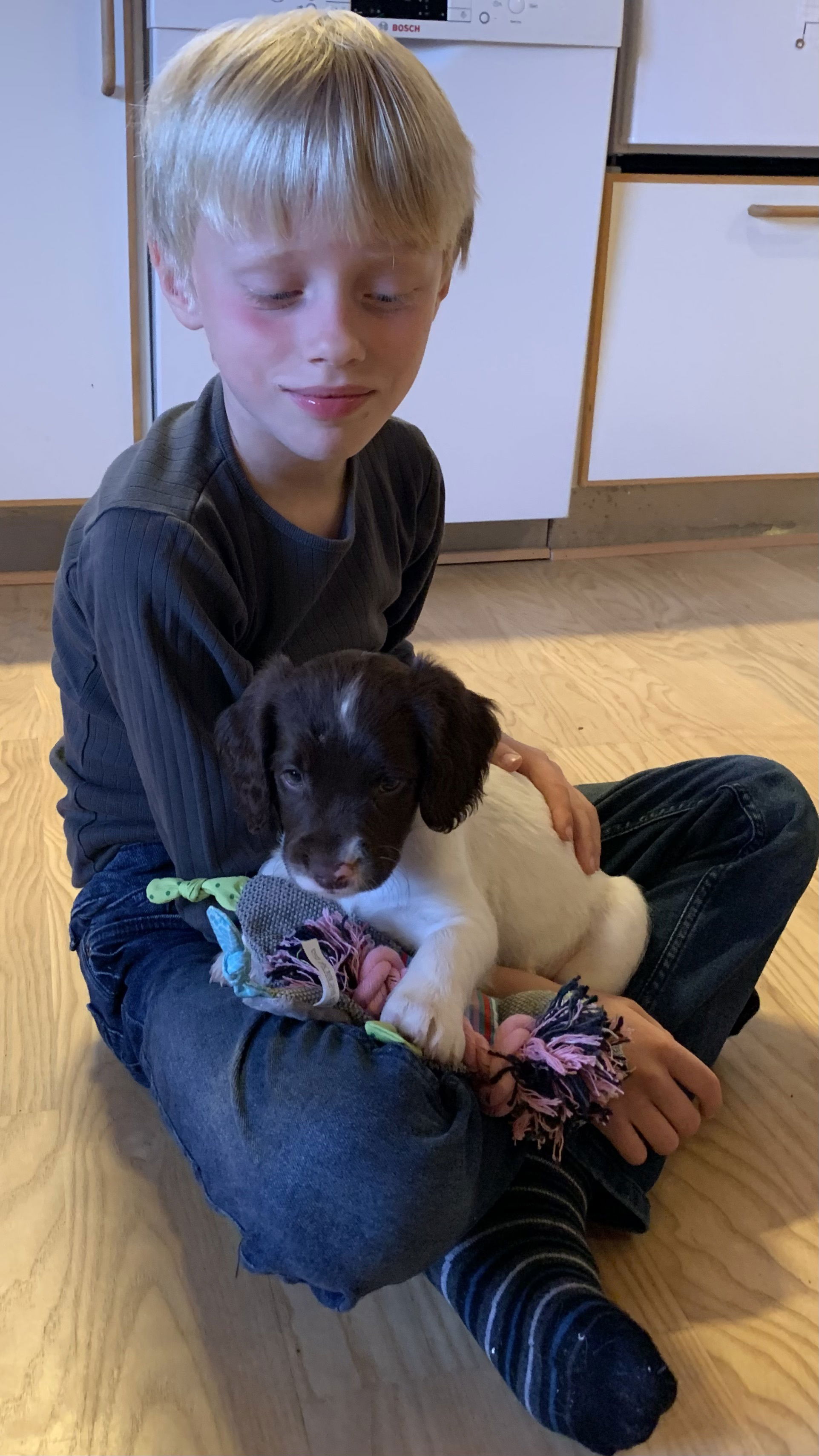 Maddi nyder tilværelsen som familiehund med masser af kærlighed 🥰