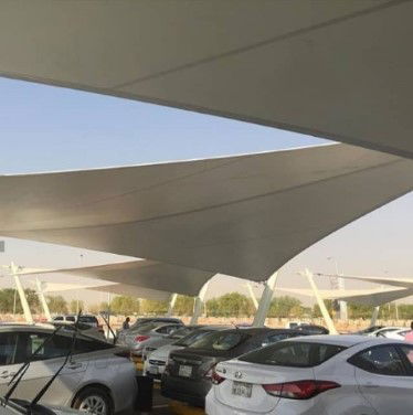 الصور بالأسفل