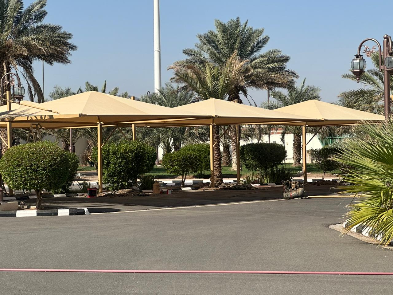 الصور بالأسفل