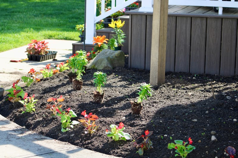 Planting &amp; Garden Bed Installation