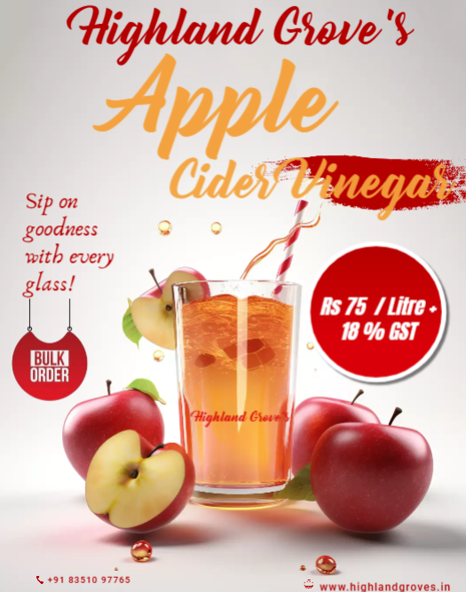 Apple Cider Vinegar With mother Bulk Straight