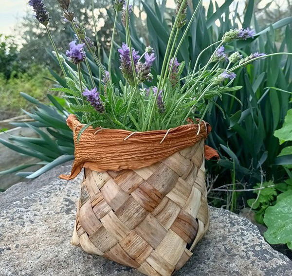 סדנאות חווייה