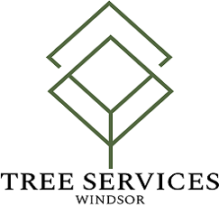 https://treeserviceswindsor.com/