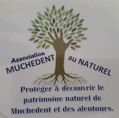 www.adopteuncrapaud.com