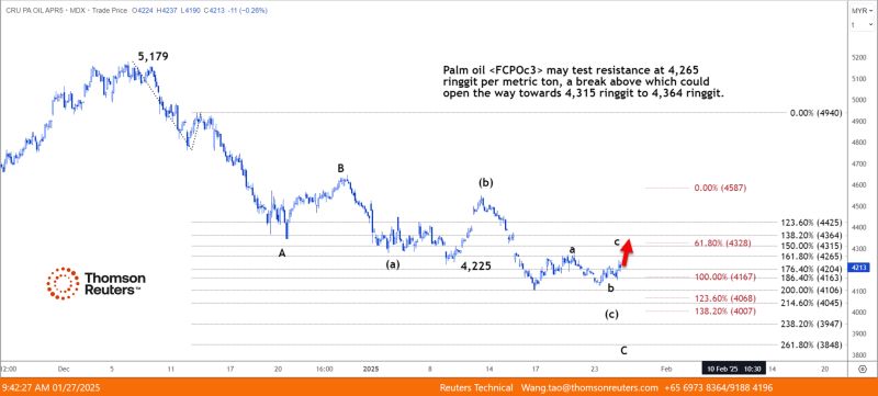 TECHNICALS-Palm oil still may test resistance at 4,265 ringgit