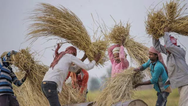 Budget 2025: Game-Changing Schemes Or Consistent Allocation | What's In Bahi-Khata For Agri Sector?