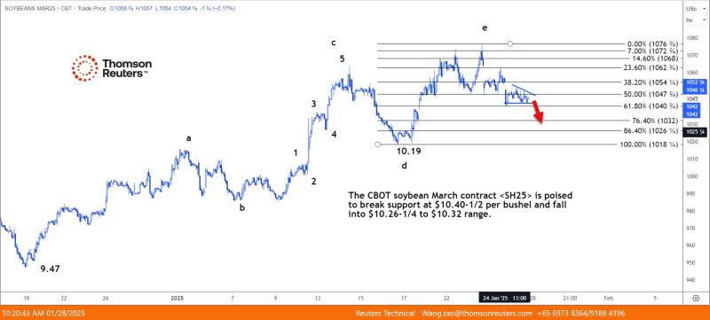 TECHNICALS-CBOT soybeans poised to fall into $10.26-1/4 to $10.32 range