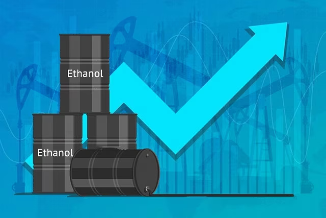 India Set To Achieve 20 Per Cent Ethanol Blending Target In Next Two Months, Says Gadkari