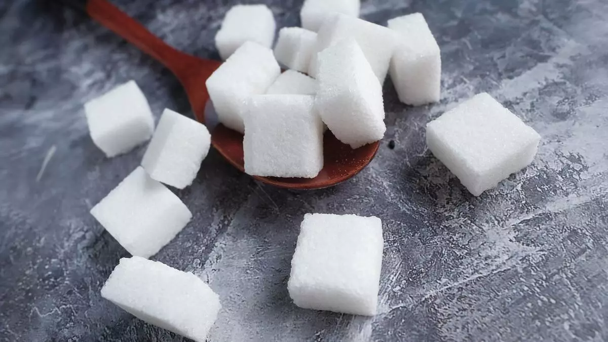 India’s sugar production may drop 17% to 26.52 mt in 2024-25, says trade body AISTA