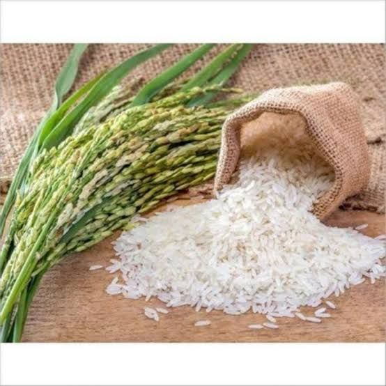 🌾 India Reigns as the World’s Largest Rice Producer — But at What Cost?