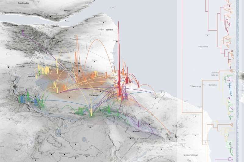 War, trade and agriculture spread rice disease across Africa, gene sequencing reveals