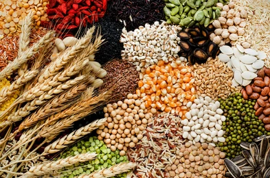 Kharif Sowing Crosses 597.86 Lakh Hectares, Rice, Pulses, Millets See Rise; Soybean Declines