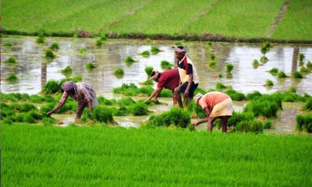 Express View on trade pacts and agriculture: Carry forward the momentum