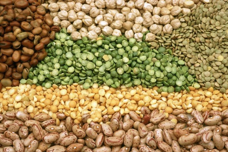 Rain Watch (July 31–August 6): Monsoon Slows Down, Pulses Sowing Falls Behind