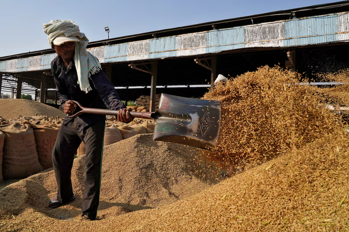 www.sugarethanolbioenergy.com- From shortage to surplus: India pours record rice crop into ethanol