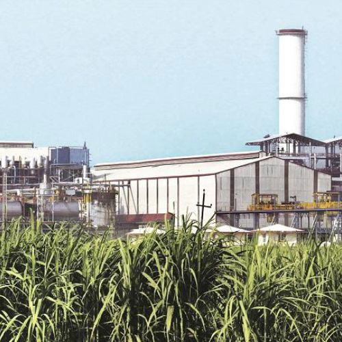 www.sugarethanolbioenergy.com- Uttar Pradesh: Supreme Court quashes Rs 18 crore environmental penalty on sugar mill