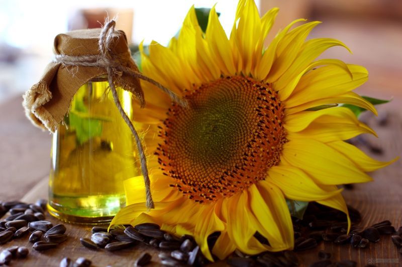 Ukraine continues to increase sunflower oil supplies to India