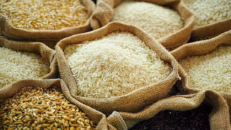 Punjab’s paddy farmers are staring at big losses. Why flood impact may spill out of India’s rice bowl