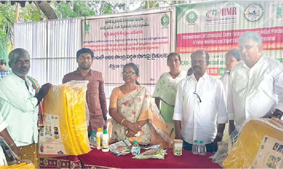 mmdeinternational.com- Programme on empowerment of SC farmers with millet production
