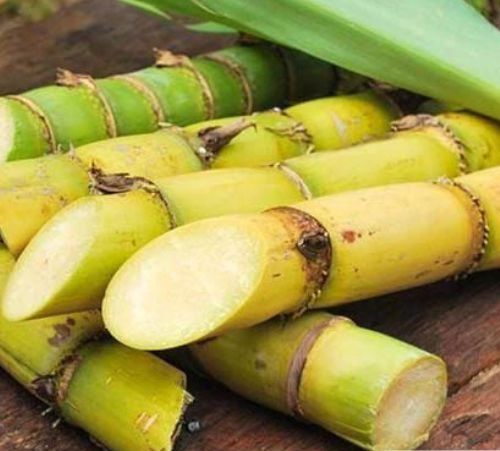 sugarethanolbioenergy.com- Fiji: Govt plans juice extraction facility to ease burden on Sigatoka farmers