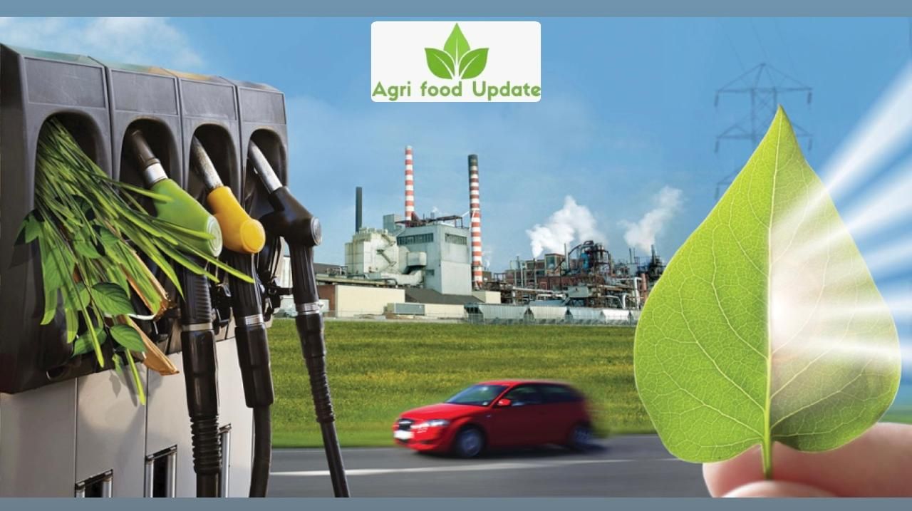 Ethanol firm TruAlt Bioenergy IPO receiving strong interest among inve