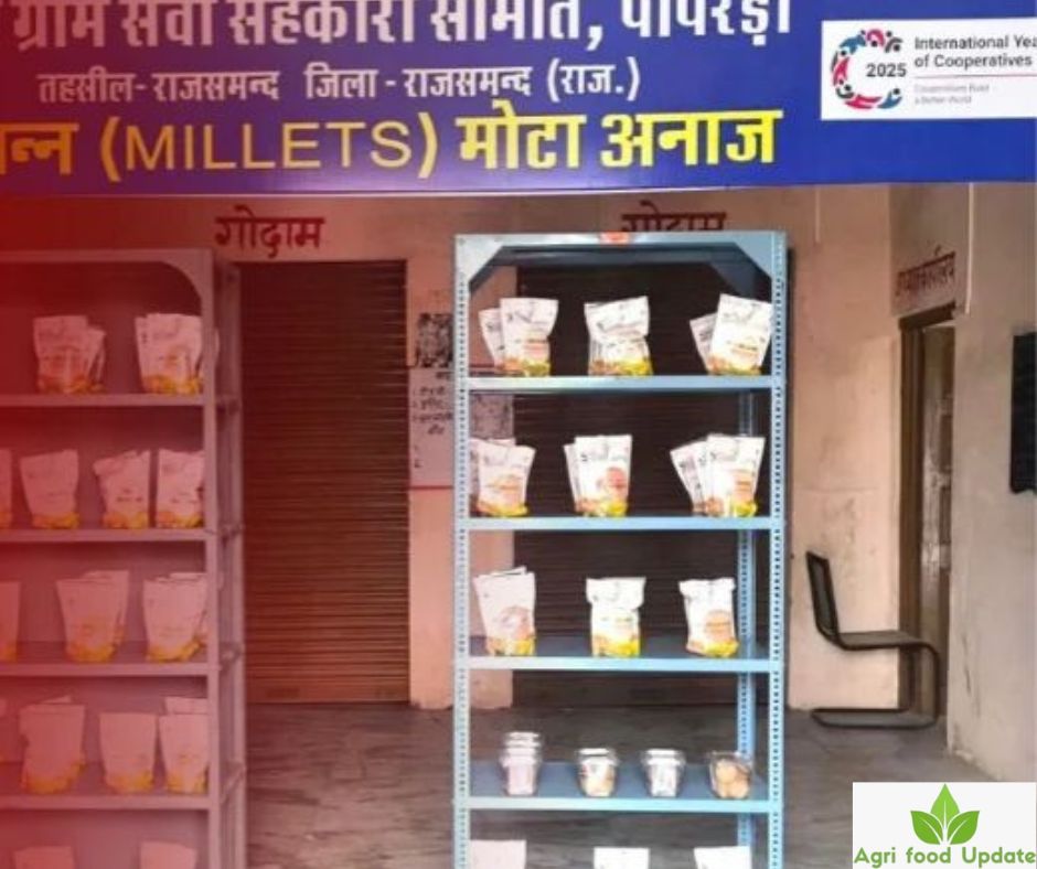 mmdeinternational.com- Rajasthan Exceeds Target, Expands Millet Outlets Across Rural Areas