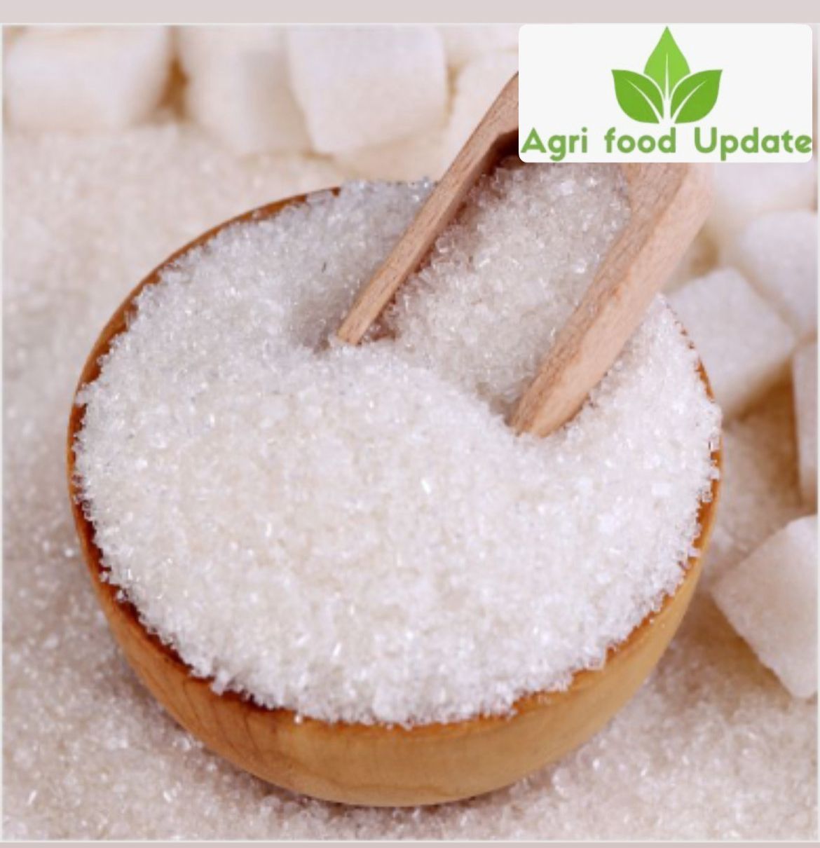 Sugar Prices Settle Higher as Dollar Weakness Spurs Short-Covering