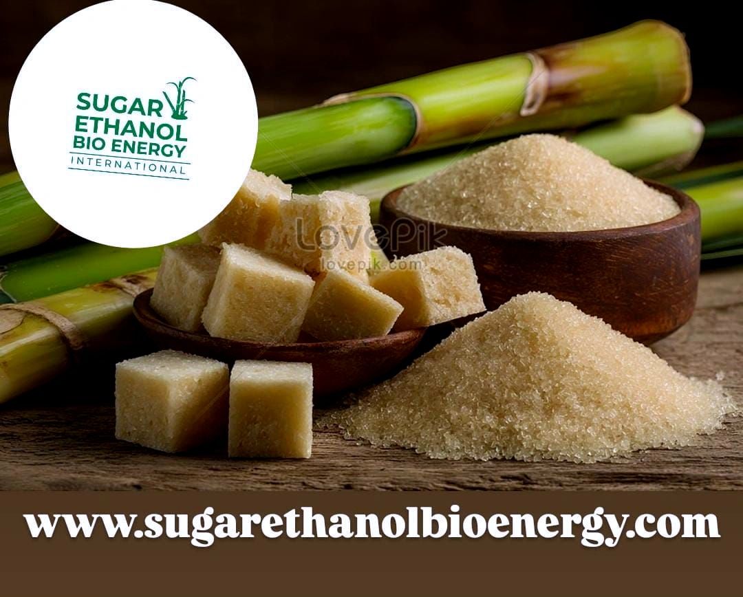 www.sugarethanolbioenergy.com -ICE October Sugar Deliveries Estimated at 1.52 Million Tons; Louis Dreyfus Leads, Cofco Largest Buyer