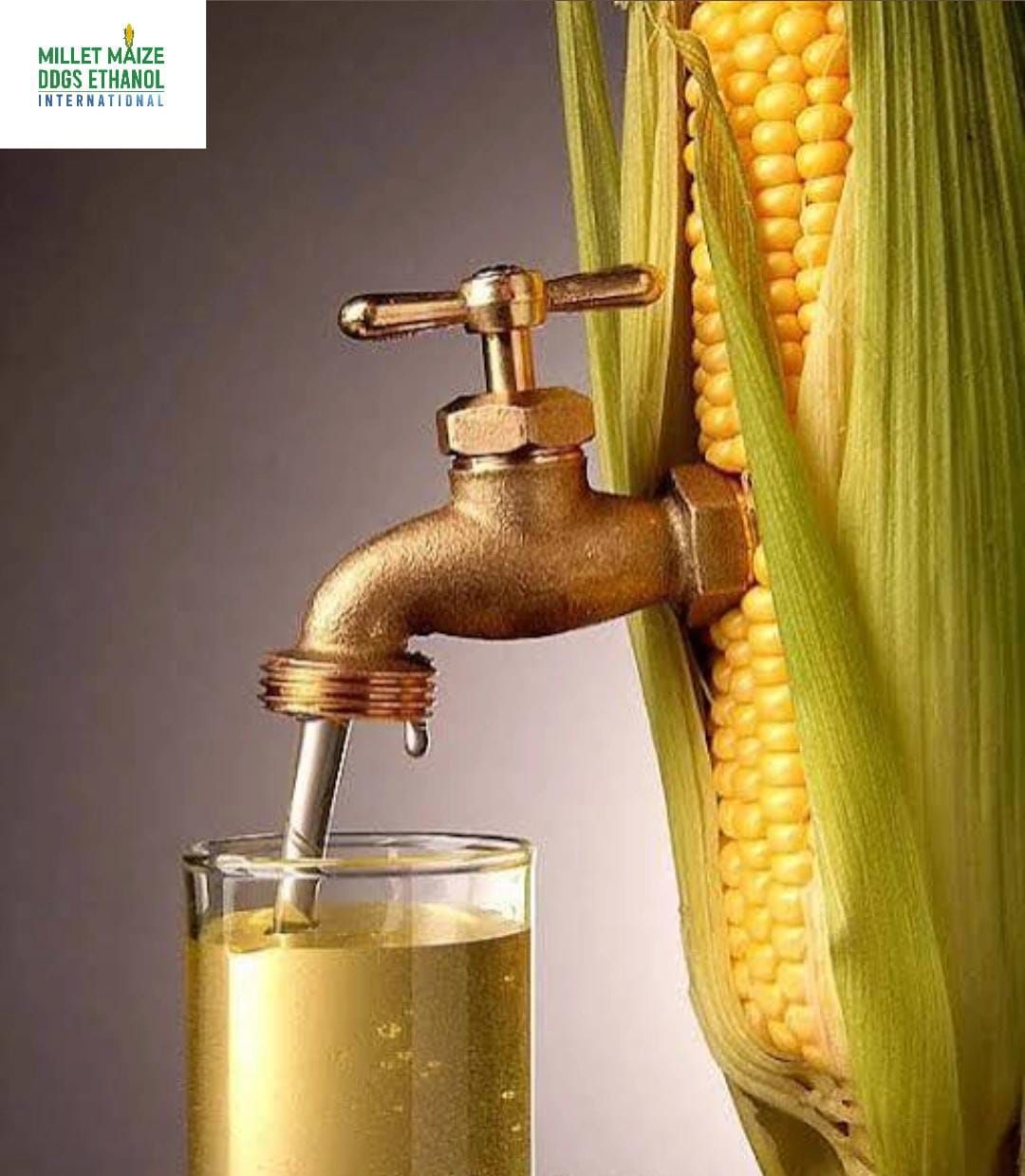 mmdeinternational.com - 🌽 Ethanol Boost Ahead! 💧 Ending Tariffs to 🇲🇾 Malaysia & 🇰🇭 Cambodia Could Spark Higher Demand 🌍 — NCGA0