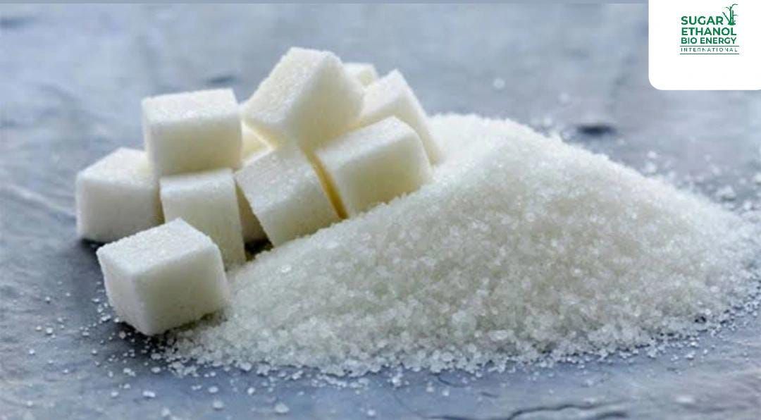 www.sugarethanolbioenergy.com - 🚫 Portal Shutdown & ⚖️ Import Policy Spark Sugar Price Surge 🍬📈