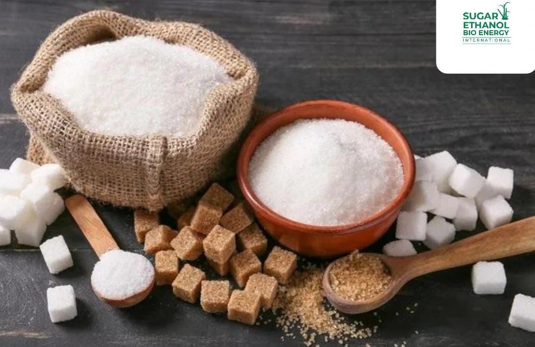 www.sugarethanolbioenegry.com - 🍬 Millers Blame Govt for Soaring Sugar Prices 🚨
