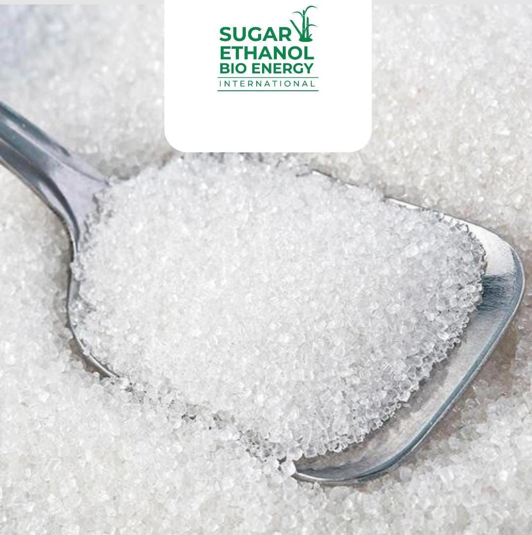 www.sugarethanolbioenergy.com - 🔥 Sugar Prices Surge Higher on Short Covering 📈🍬