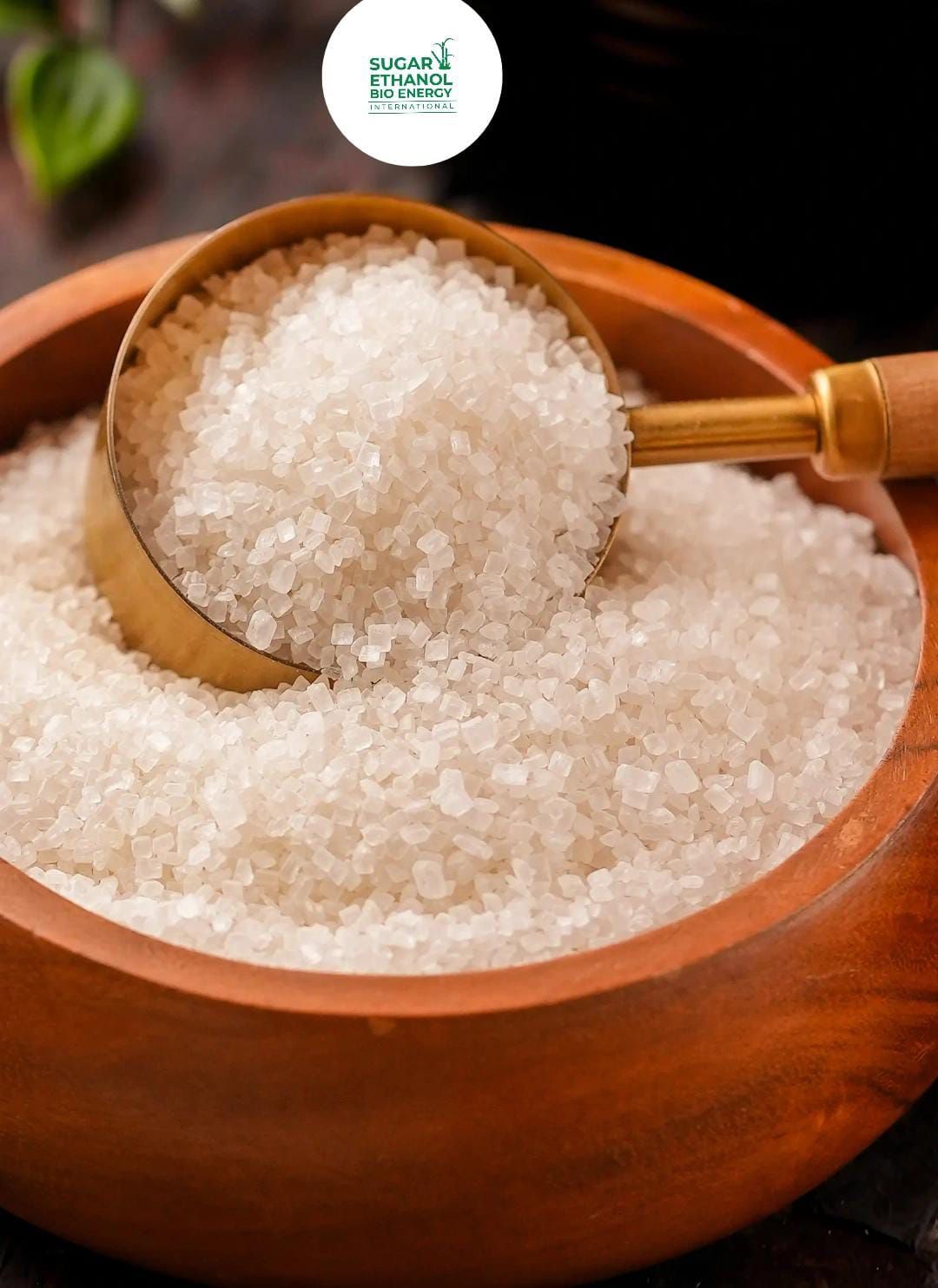 sugarethanolbioenergy.com - 🏭🌾 India’s Sugar Production Rises, Sugar Prices Take a Hit 📉