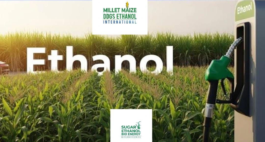sugarethanoilbioenergy.com / mmdeinternational.com 🚀🥃 Ethanol Production Soars to Record High, Stocks Rise 1%, Exports Drop 39% 📊📉