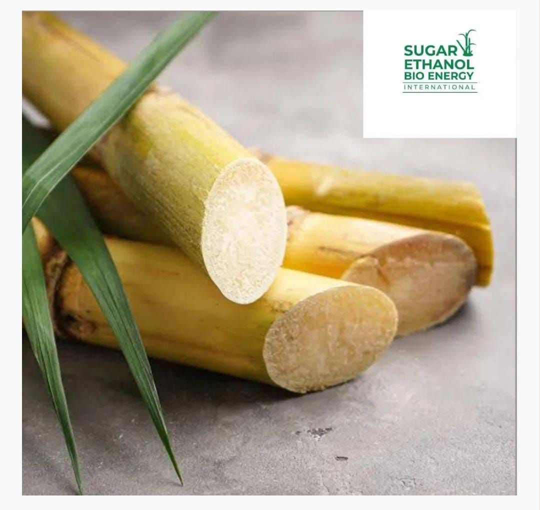 Sugar Prices Tumble on Rising Global Sugar Production