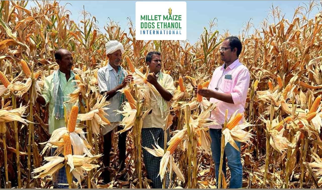 mmdeinternational.com - 🌽 Telangana Maize Farmers Get Big Relief — Govt to Boost Procurement! 🙌