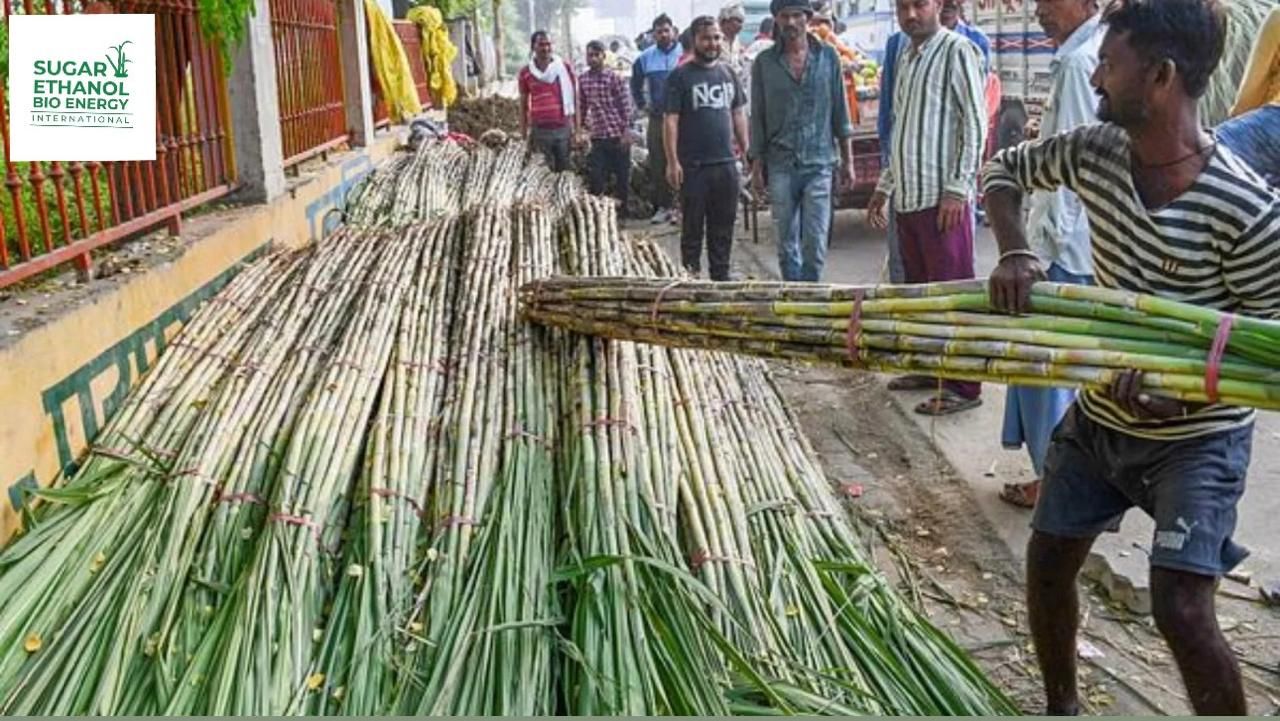 www.sugarethanolbioenergy.com - 🍬 Sugar Mills Push for Fast Deregulation Approval to Secure Fair Prices for Farmers 🌾💰