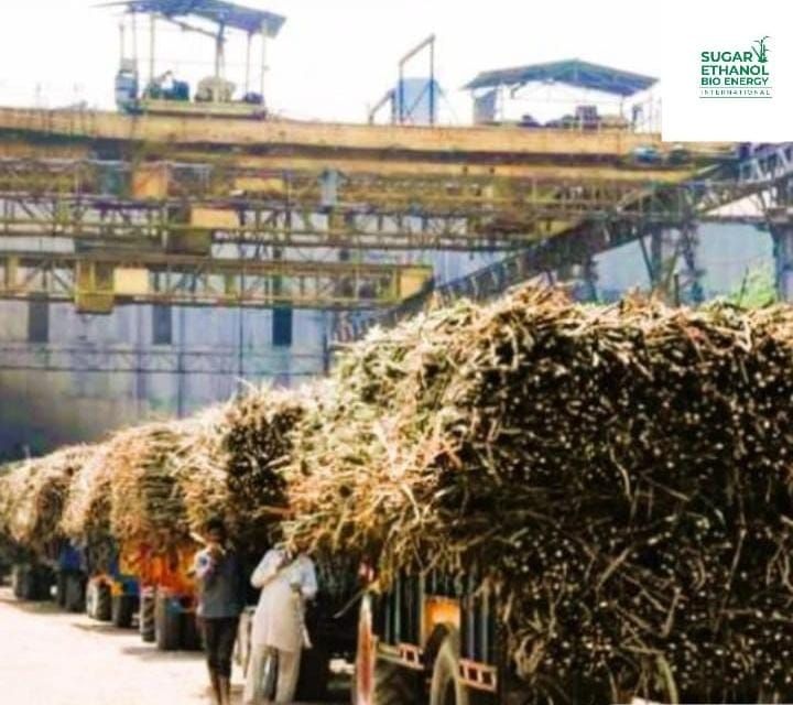 www.sugarethanolbioenergy.com - 325 Mills Begin Crushing Operations in India; Sugar Production Reaches 10.50 LMT: NFCSF ๐ฎ๐ณ๐ญ๐ฌ