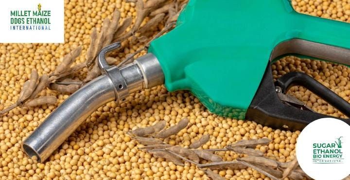 mmdeinternationa.com / www.sugarethanolbioenergy.com - November WASDE Reduces Estimate for 2024–25 Soybean Oil Use in Biofuel Production 🌱📉⚡