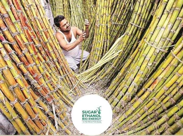 www.sugarethanobioenergy.com - Cane Farmers Get Relief as UP Sugar Mills Release Pending Payments 🌾💵