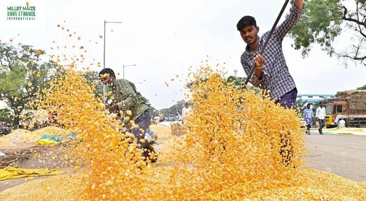 mmdeinternational.com - North Karnataka Farmers Protest Delays in Govt Maize Purchase Centres 🌽⏳