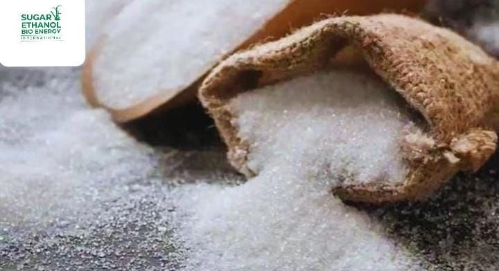 www.sugarethanolbioenergy.com - Government Eyes 27% Sugar MSP Hike to ₹38/kg 🍬📈