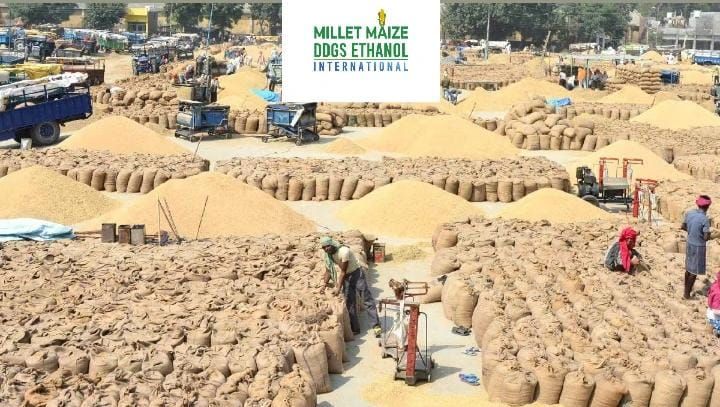 mmdeinternational.com - Gujarat govt to start direct procurement of maize at MSP from Nov 24