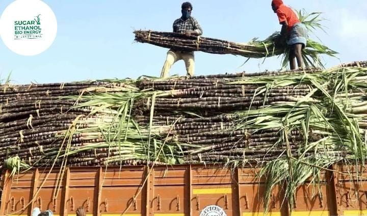 www.sugarethanolbioenergyinternational.com - Punjab Farmer’s Organic Sweet Treat: Sugarcane Products Booked in Advance Till 2027 🌱🍯📅