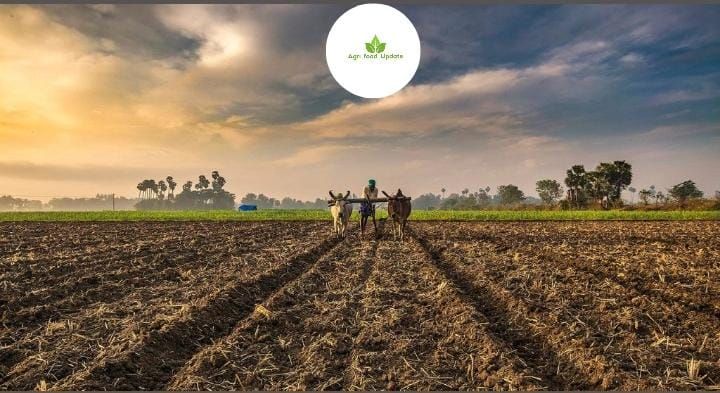 www.agrifoodupdate.com - Why India Needs to Do More to Make Agriculture Emission-Free 🌱🇮🇳