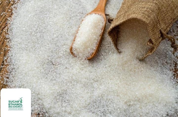 www.sugarethanolbioenergy.com - 🍬📈 UP Tops India in Average Sugar Recovery This Season