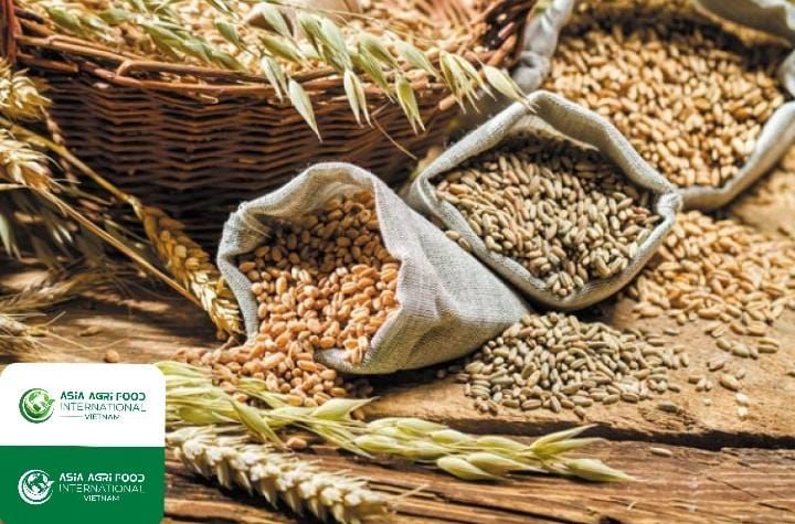 https://www.agri-food-update.com/ 🌾🌏 Asian Grain Market in Motion: Rice, Wheat & Corn Prices Surge Amid Supply & Weather Challenges