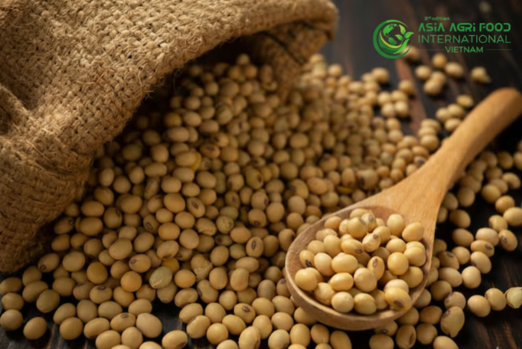 www.asiaagrifood.com - China Hits Historic Peak in Soybean Imports During 2025 📊🌾