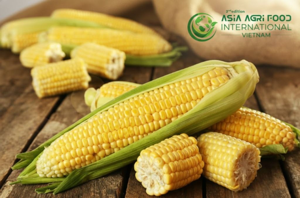 www.asiaagrifood.com - 🌽🚗 Corn Rally Kicks Off the Long Weekend with a Bang! 🎉🔥